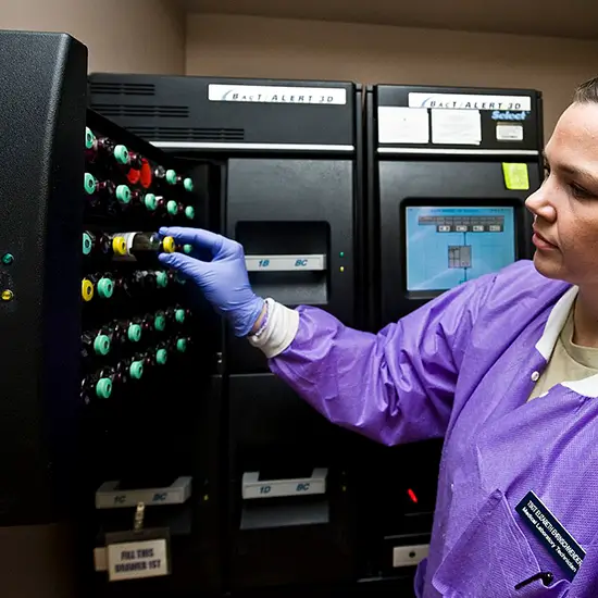 Culture Aerobic Blood, Rapid